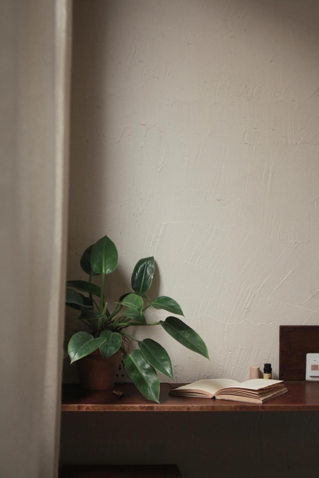 Me Home Đà Nẵng Extérieur photo